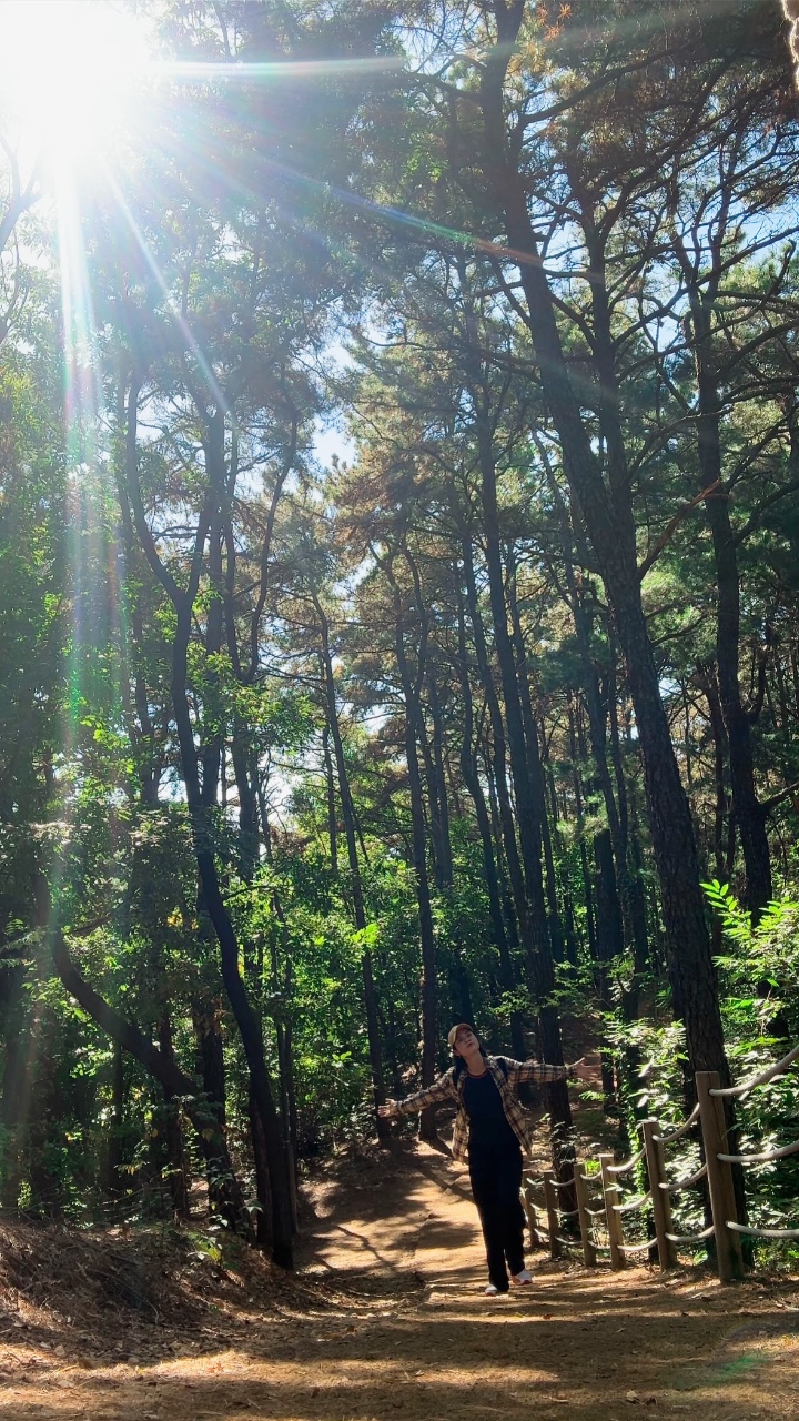 추워지기 전에 나만의 가을 보내기
