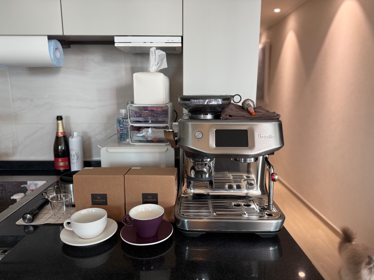 봄맞이해서 새로운커피잔☕️