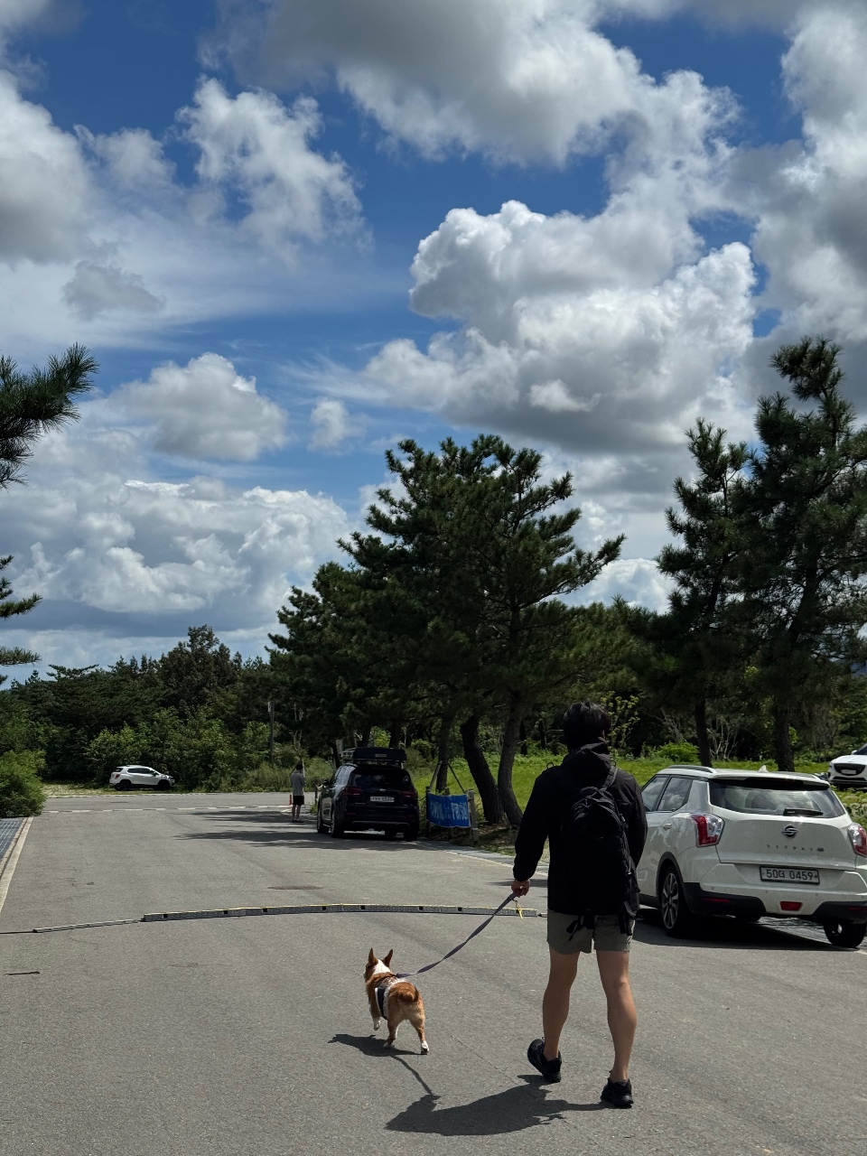 펫스카웃🐶