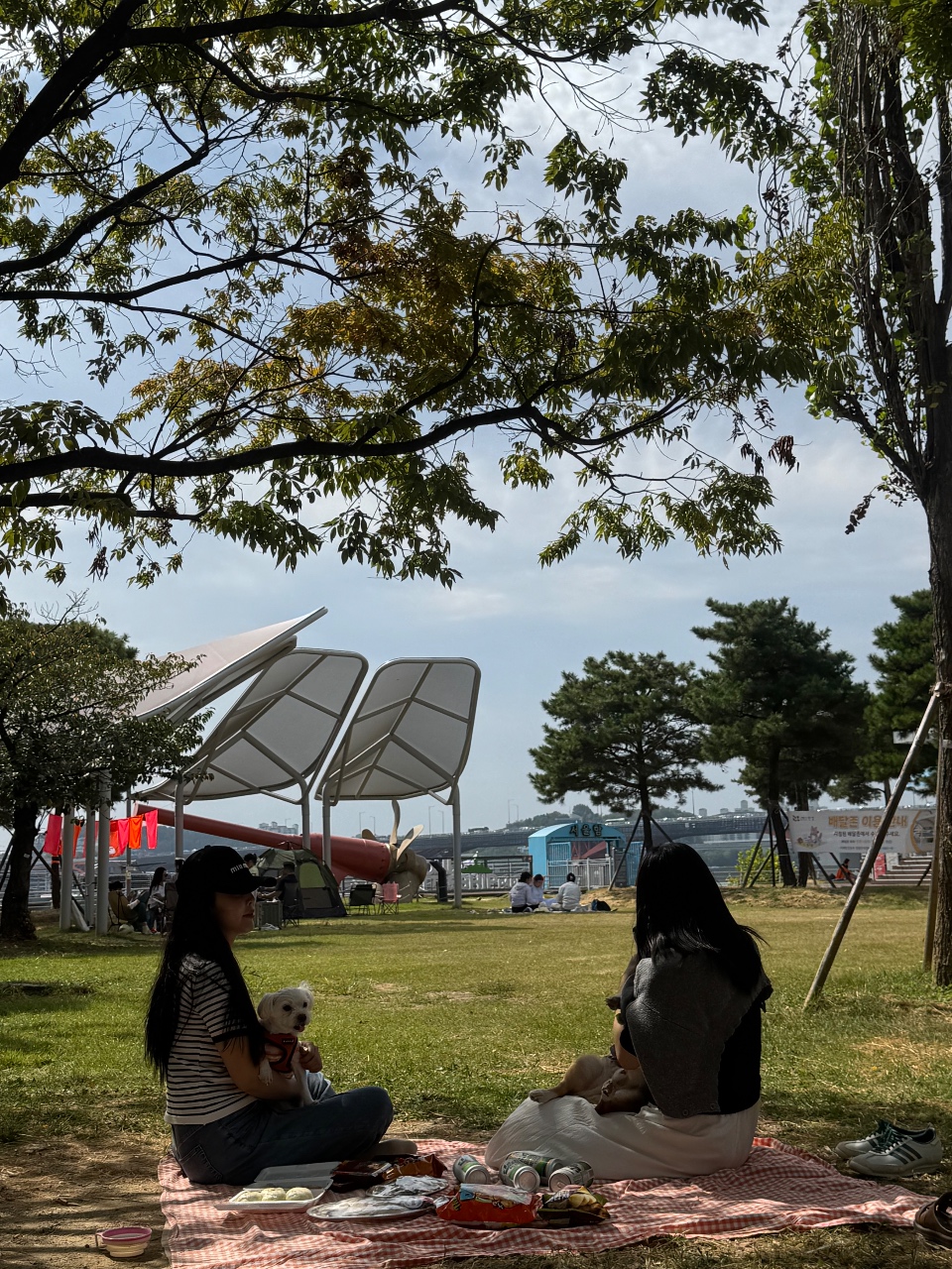 가을이 왔으니, 한강 피크닉 게시