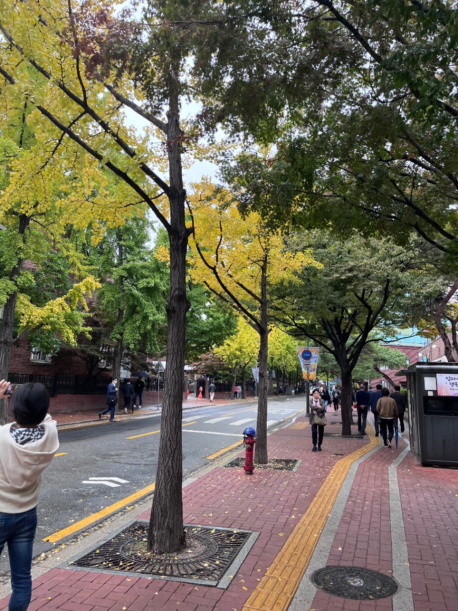 점심산책 