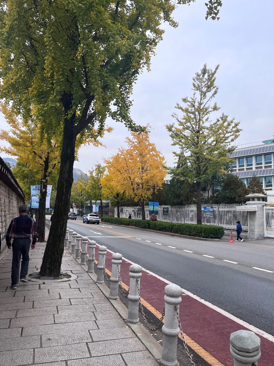 점심산책