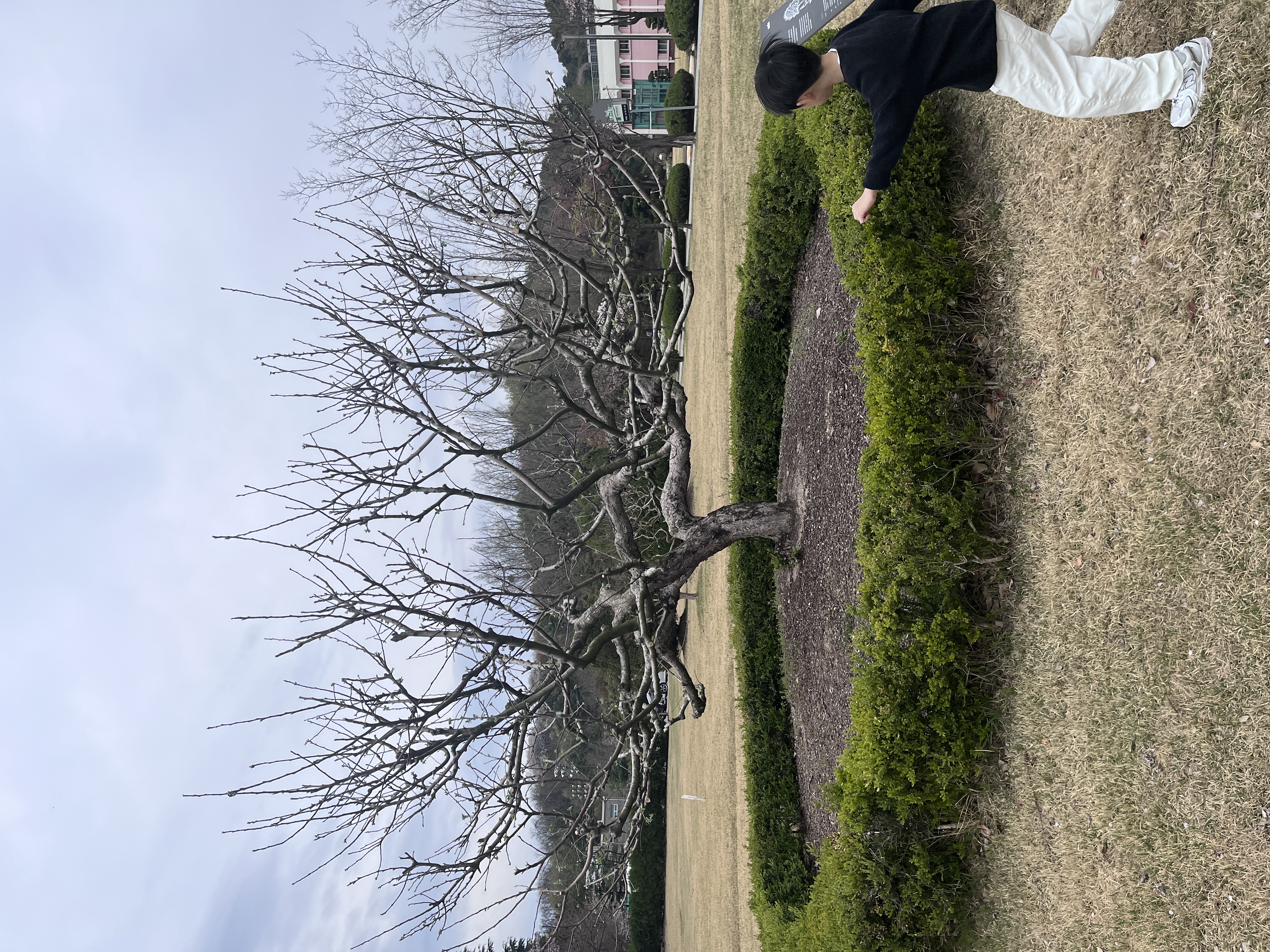 첨부파일