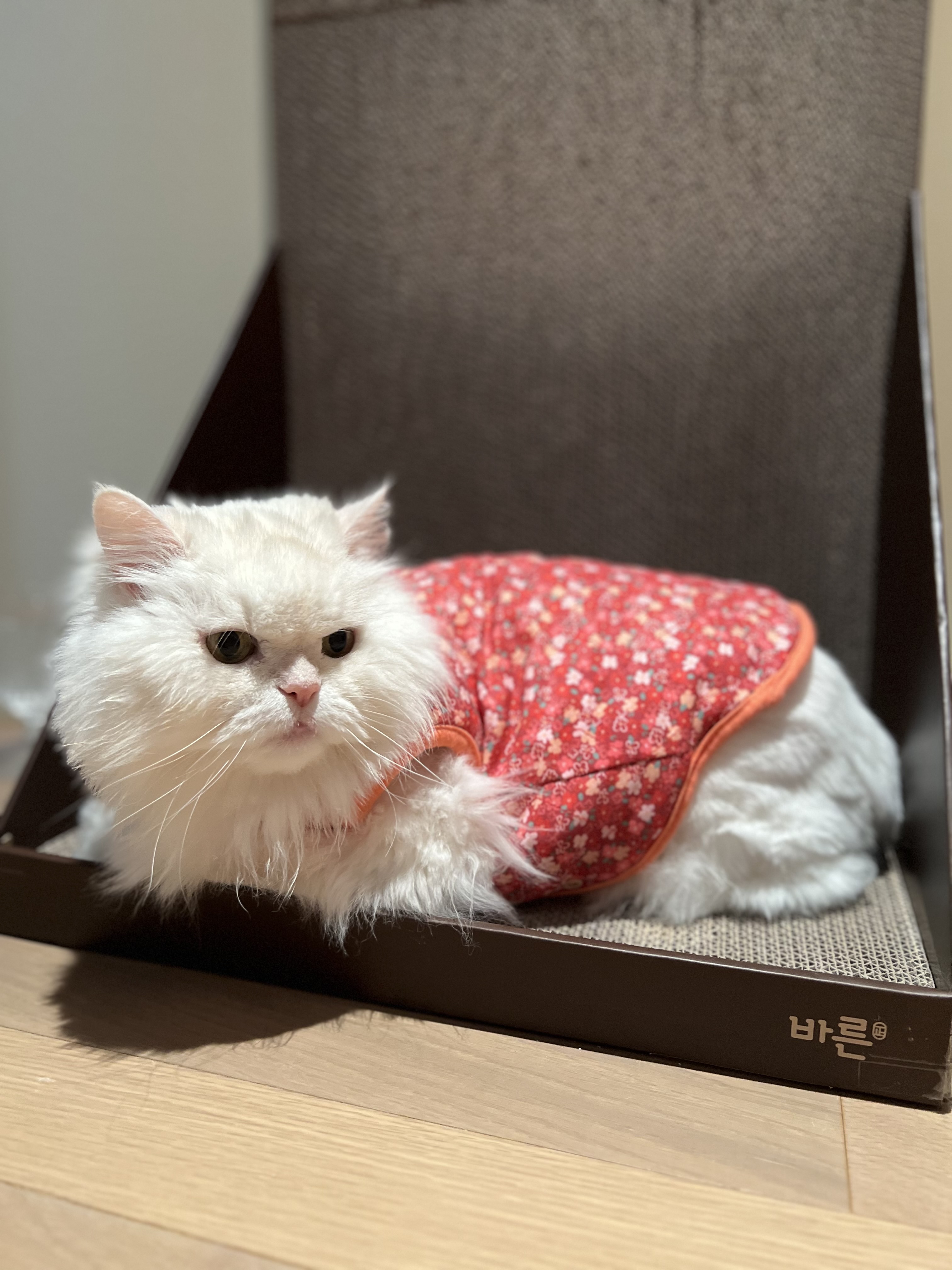 첨부파일