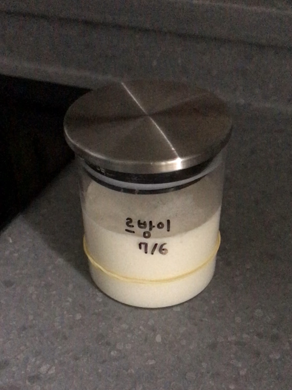 르방 키우고 있어요 🍞