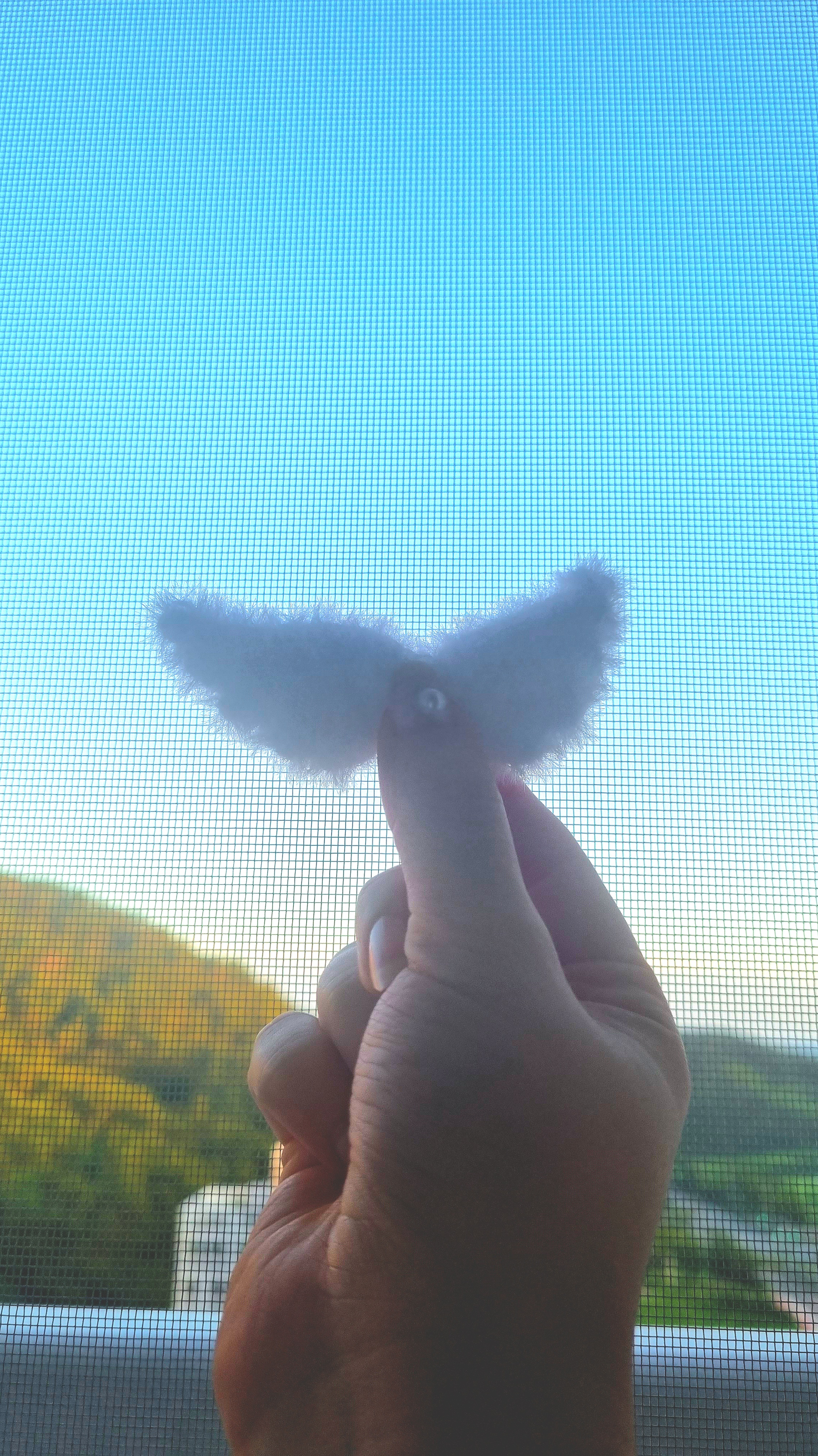 코바늘🪽