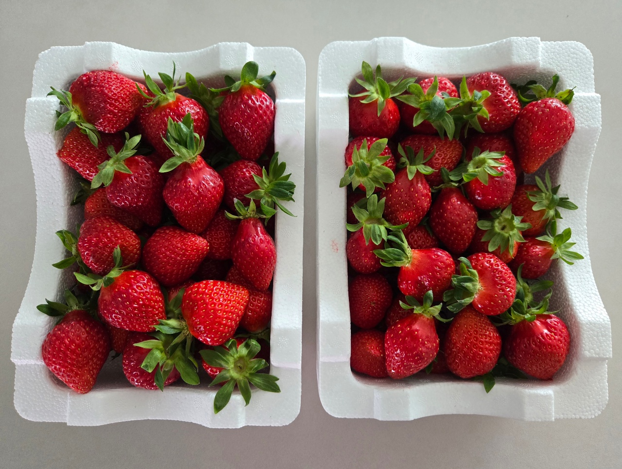 마지막딸기🍓