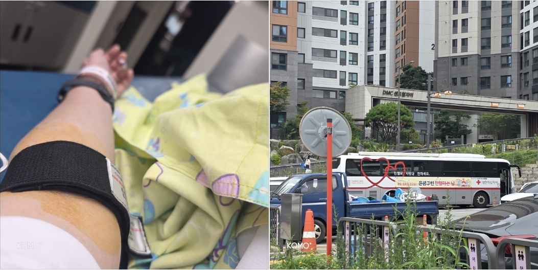 헌혈 🚌 버스