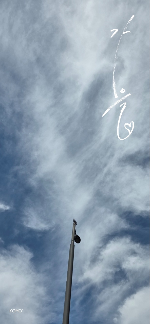 🍂 가을 그리고 🕊 