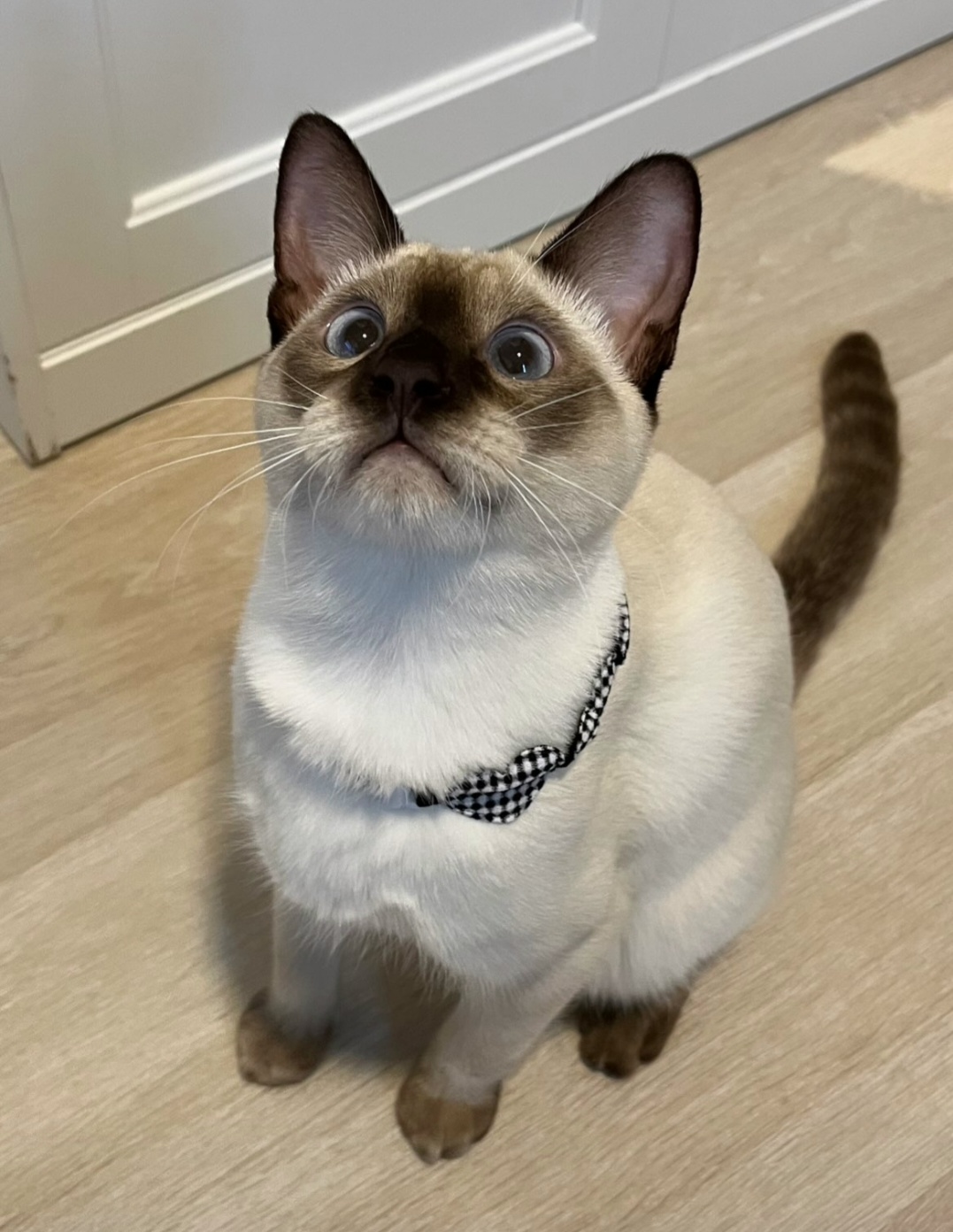 📸 성공 😺