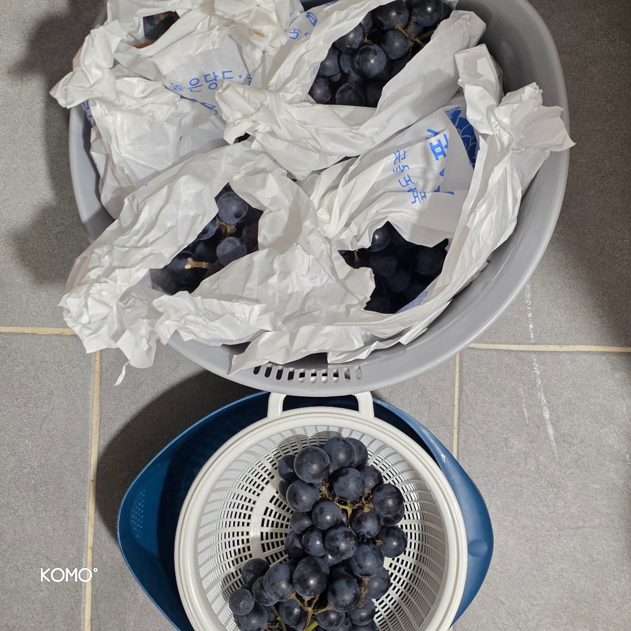 머루🍇철 너무 짧아