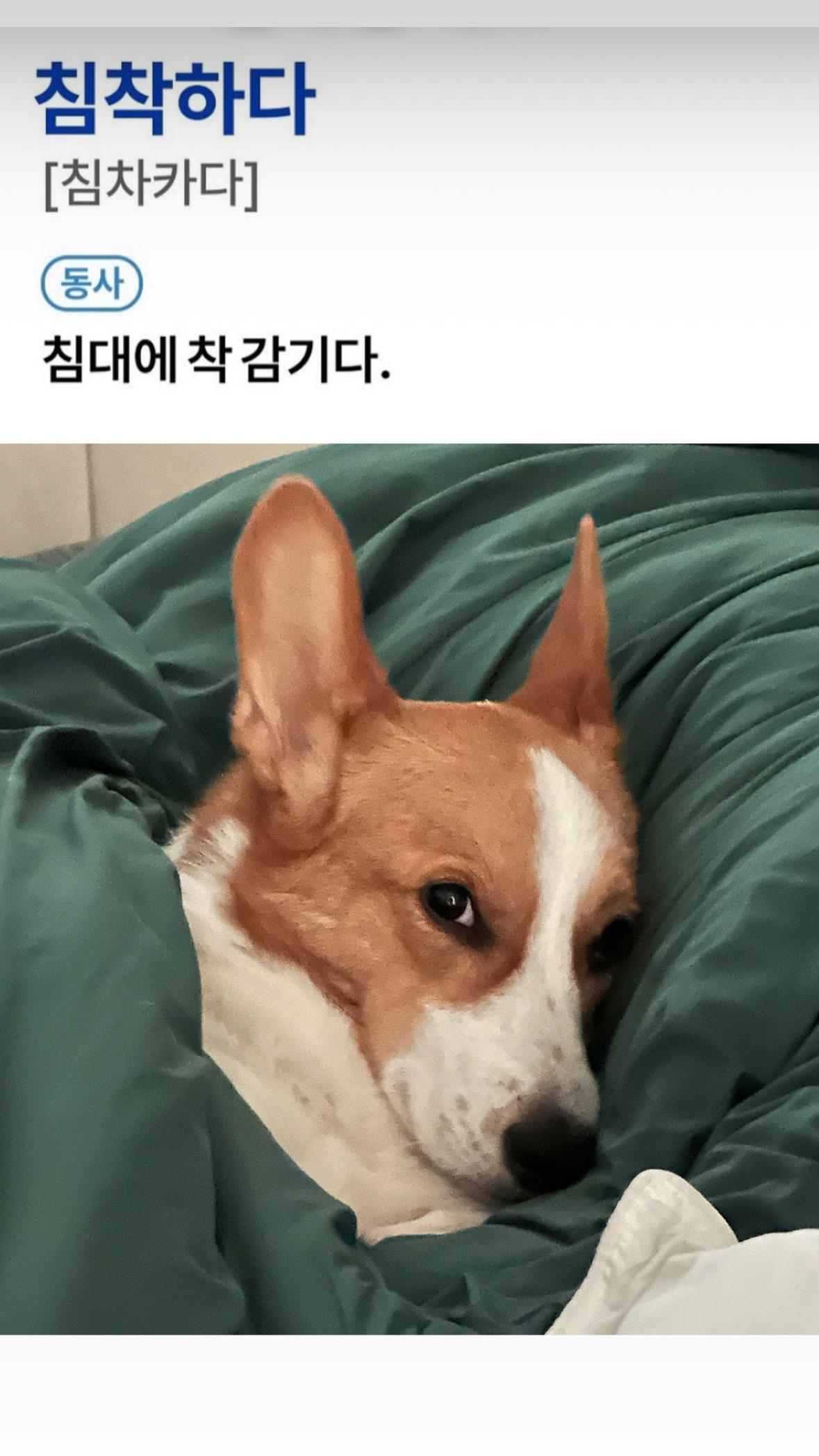 이제 마지막 쉬는날 인데 아직 침대속에 있는나 🛌