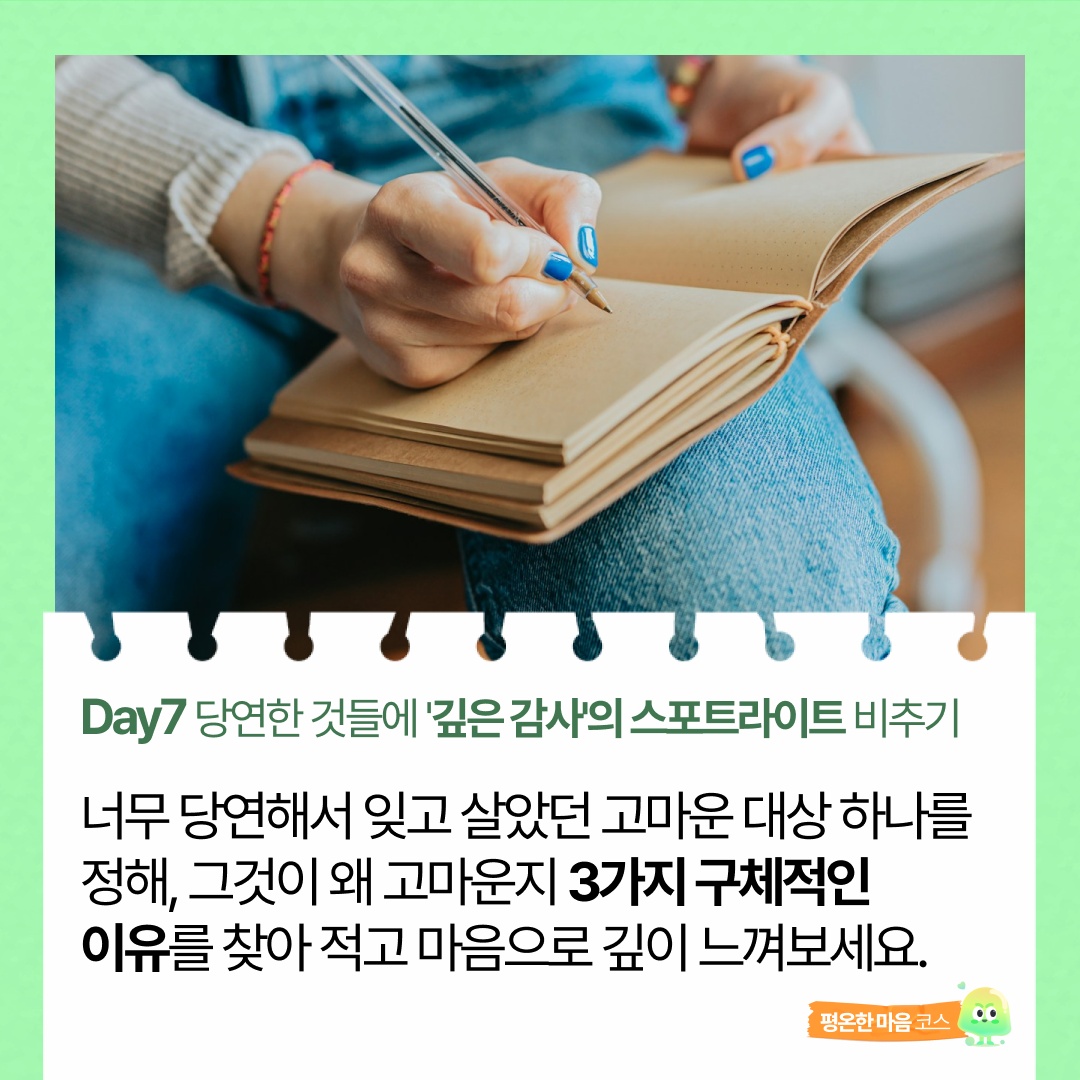 [평온코스] Day7. 당연한 것들에 깊은 감사의 스포트라이트 비추기✨