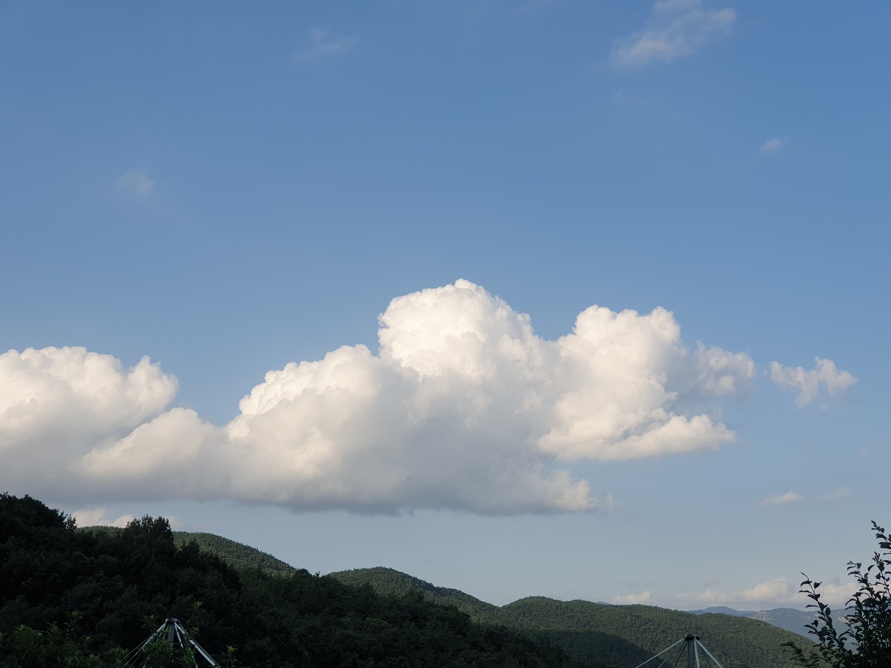 왜 일까