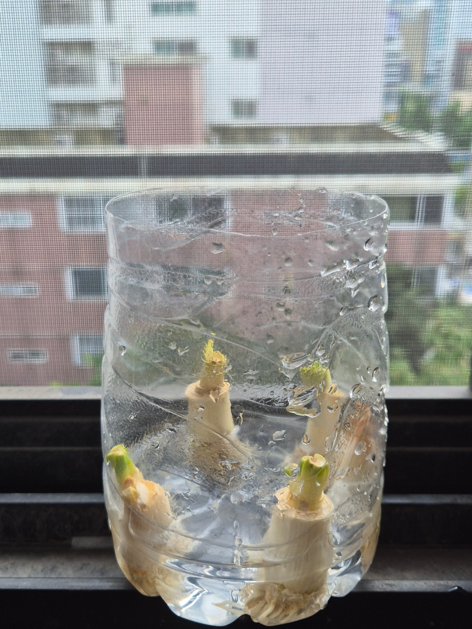 주기적으로
