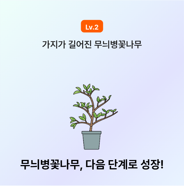 라이프집에서 식물키우기