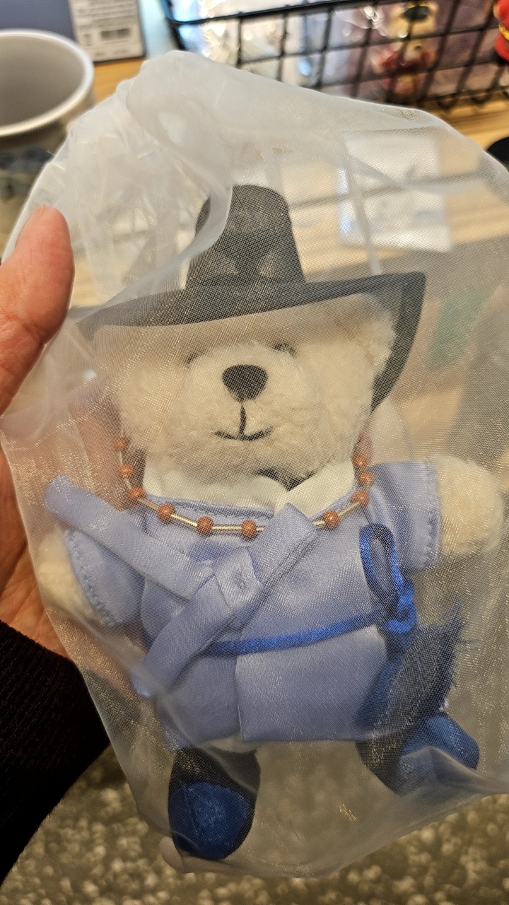 카우보이 모자를 쓴 곰 인형이 투명 봉투에 담겨 있다