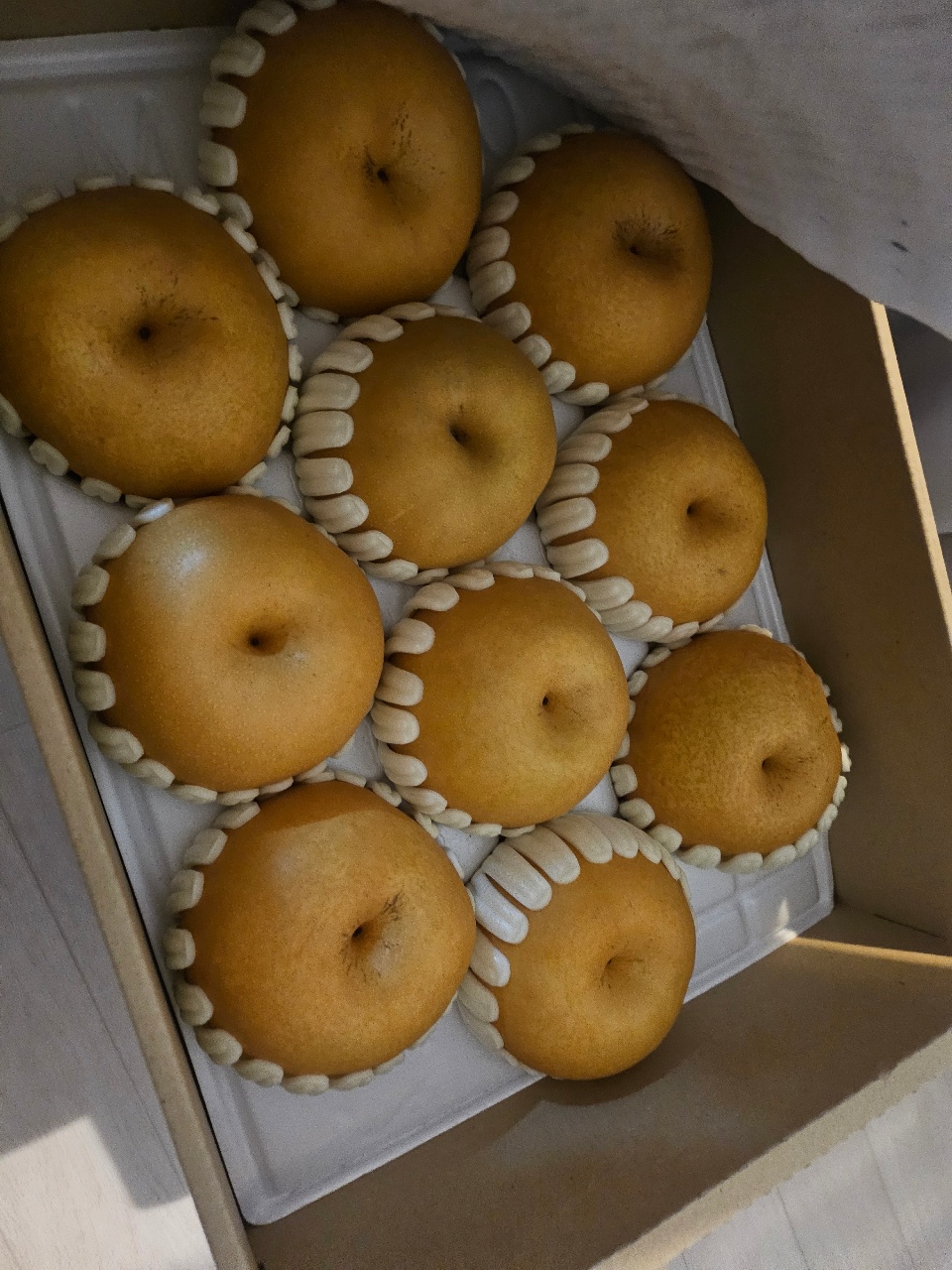 배
