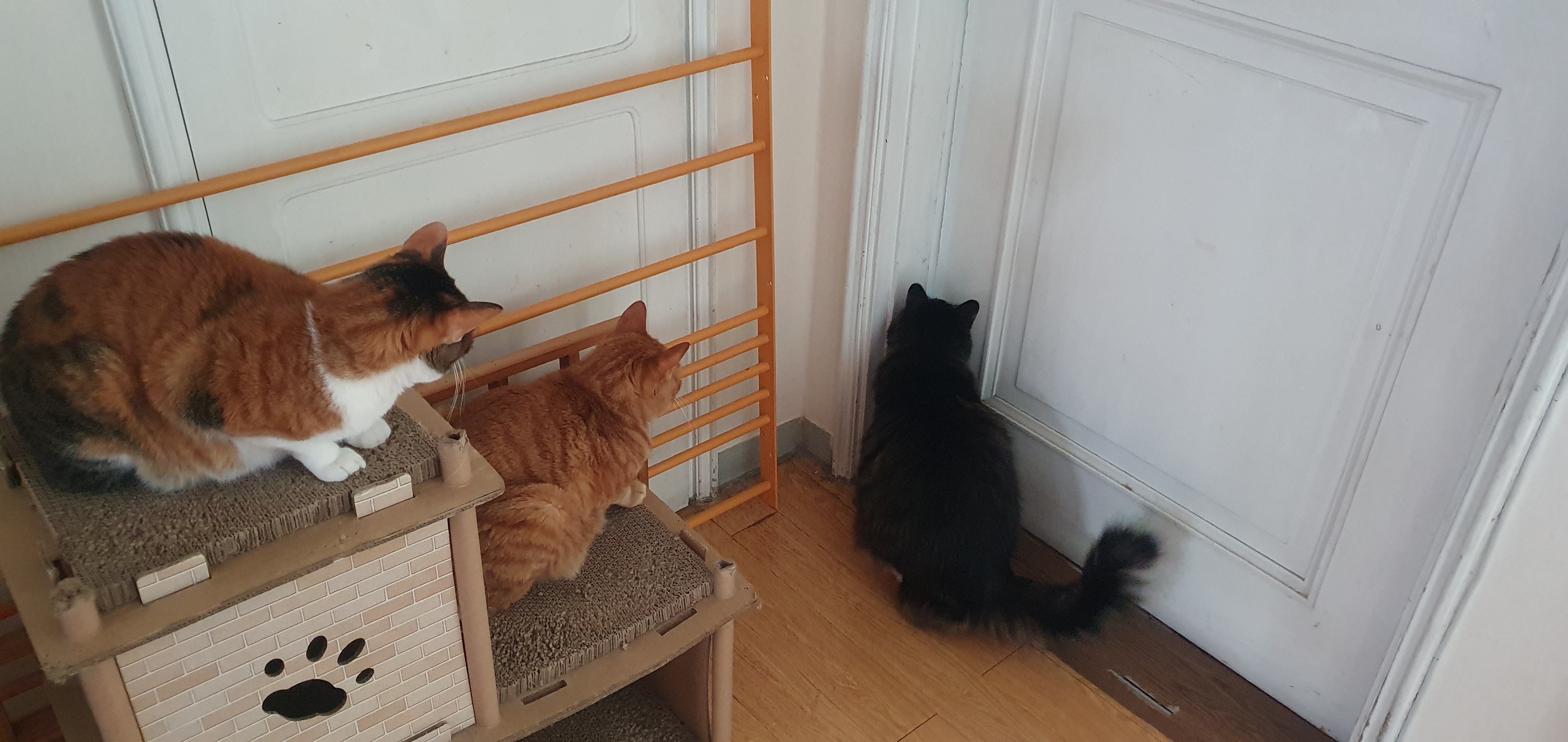 첨부파일