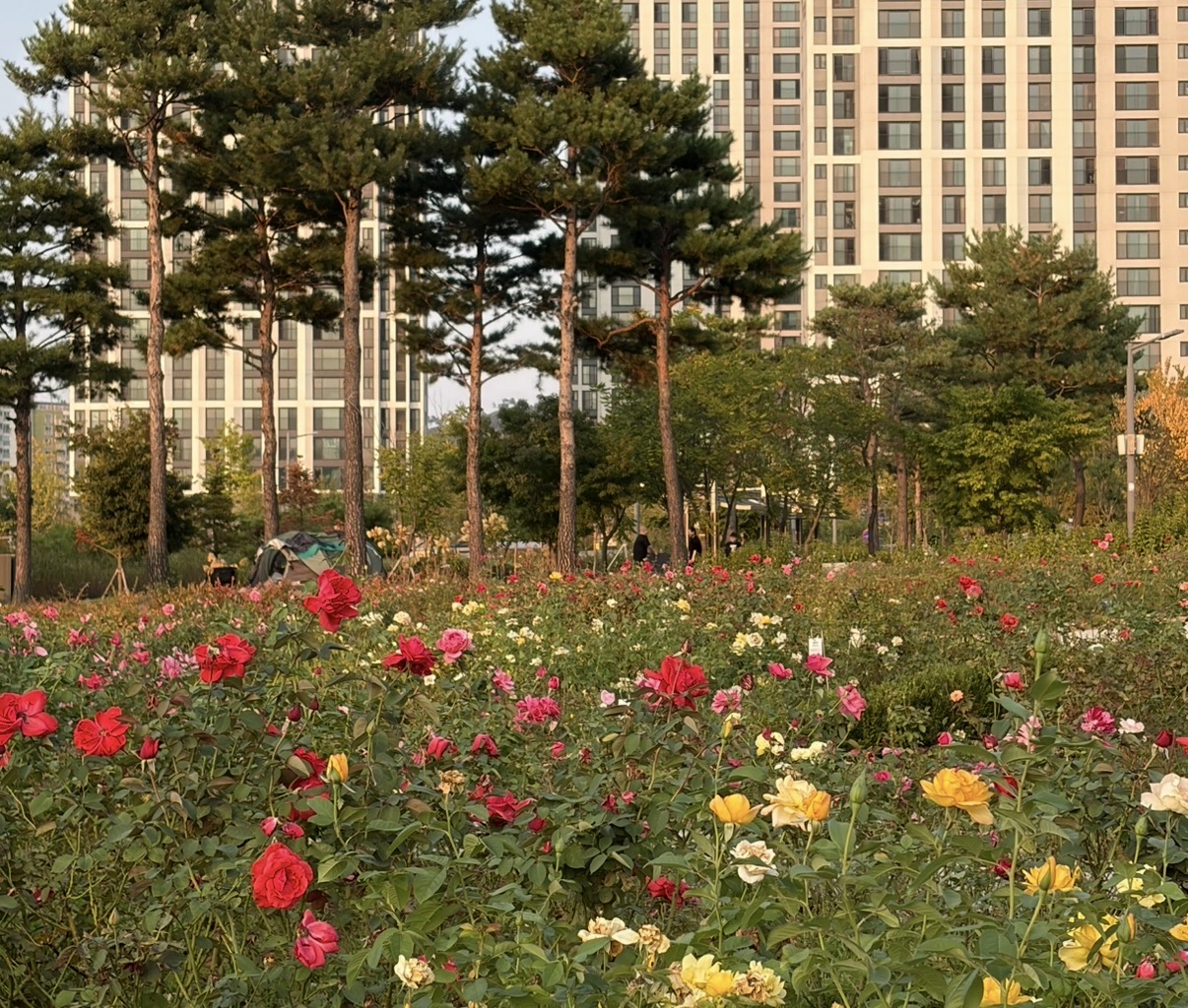 공원🌷🌻🌹