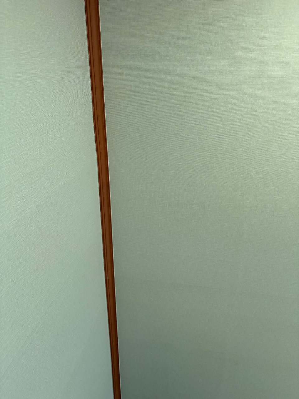 행복한 토요일