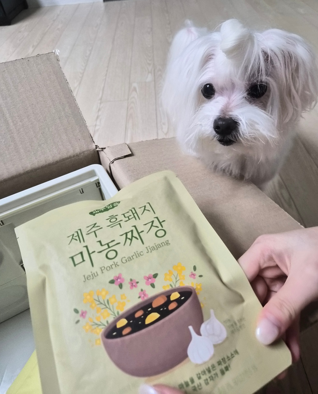 배송 상자와 식품 패키지를 들고 있는 흰색 강아지