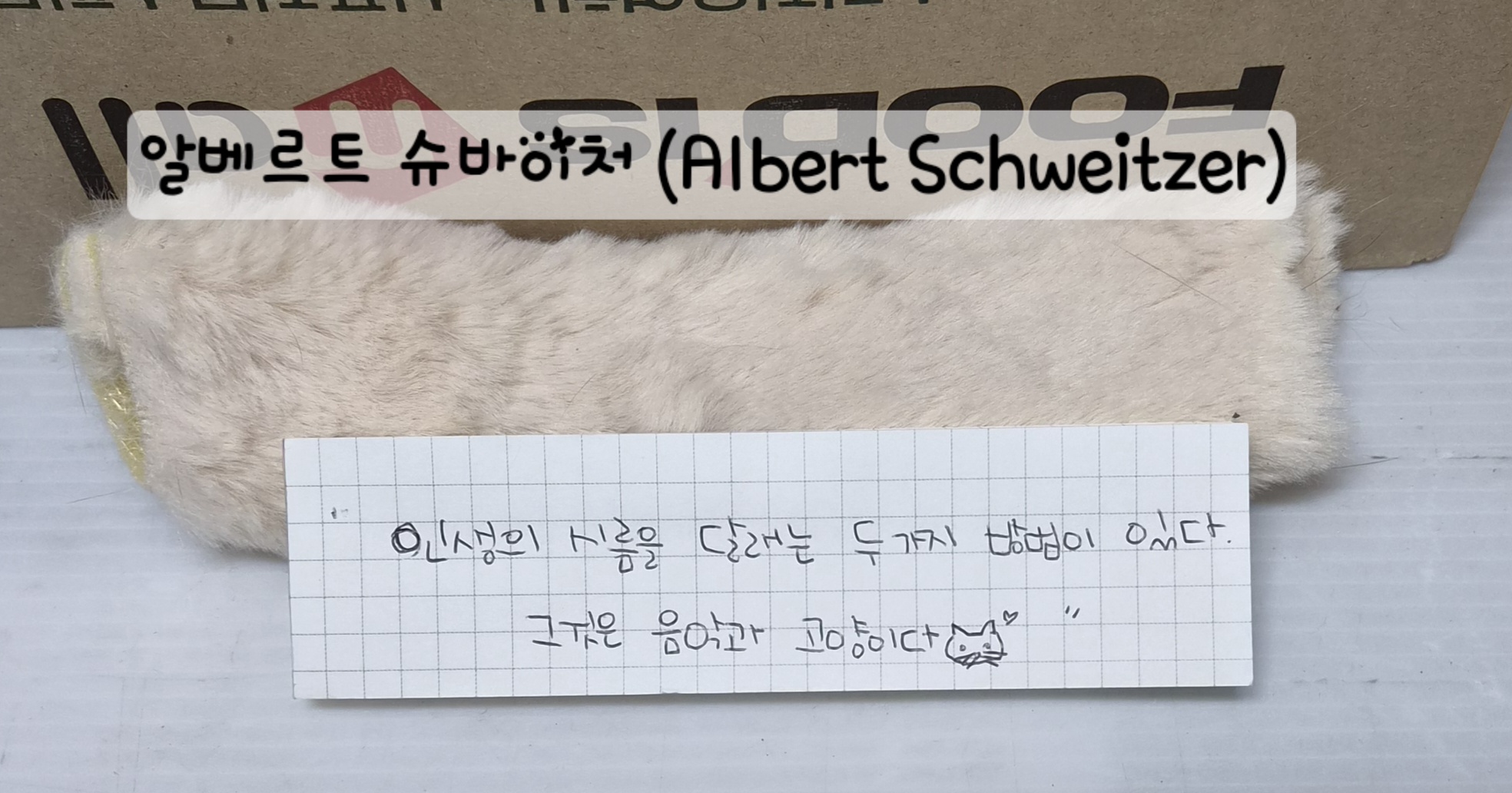 슈바이처도 사랑한 고얌미😸