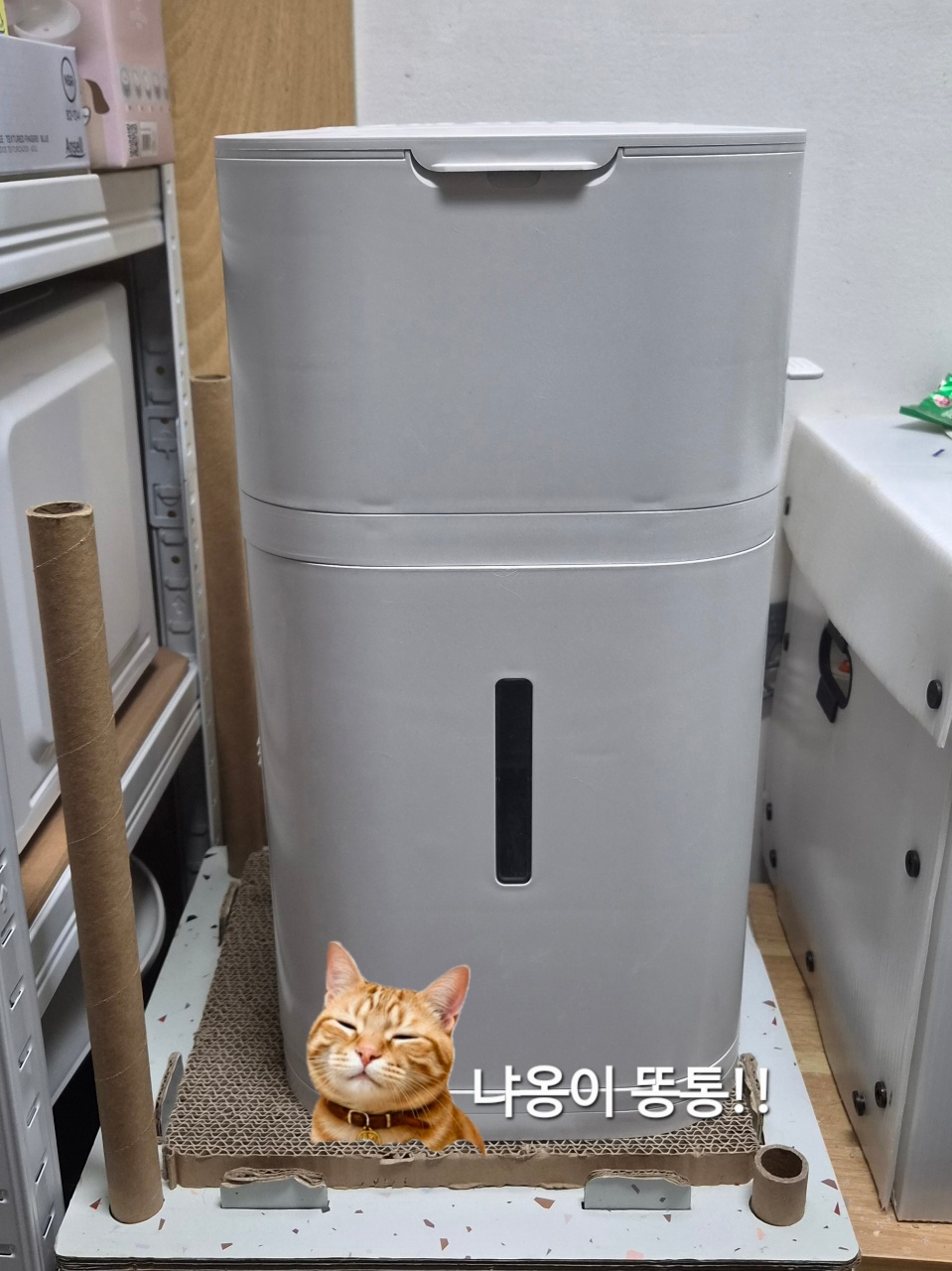 고양이 화장실옆에 똥통😄