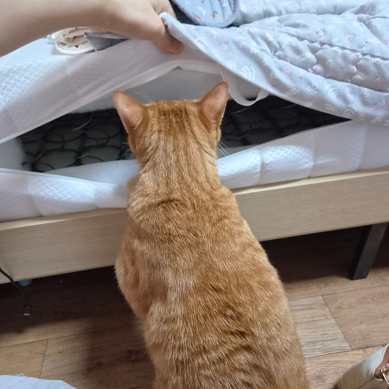 공용침대 스프링검사