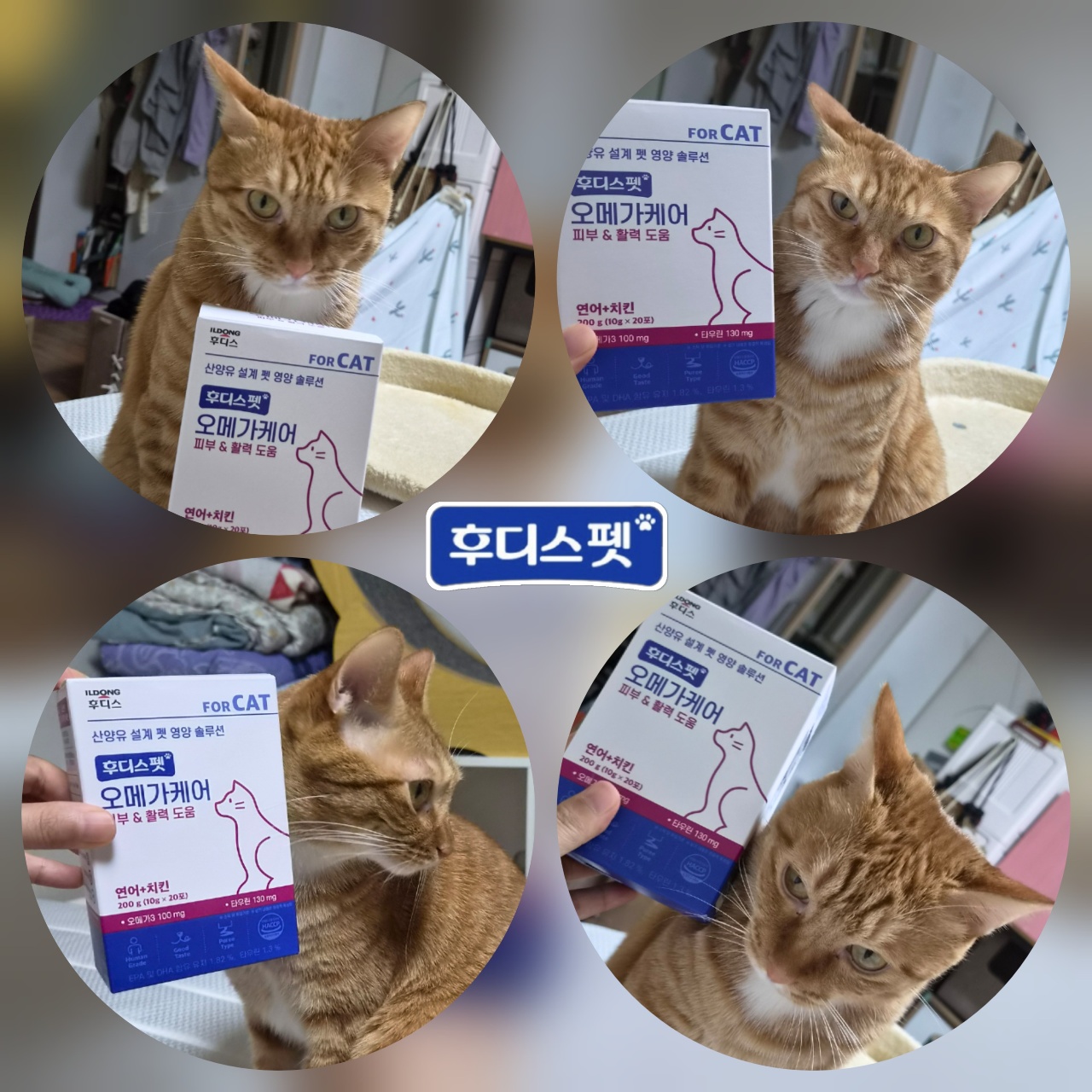 저희 냥님 간식 대장임 ㅋ