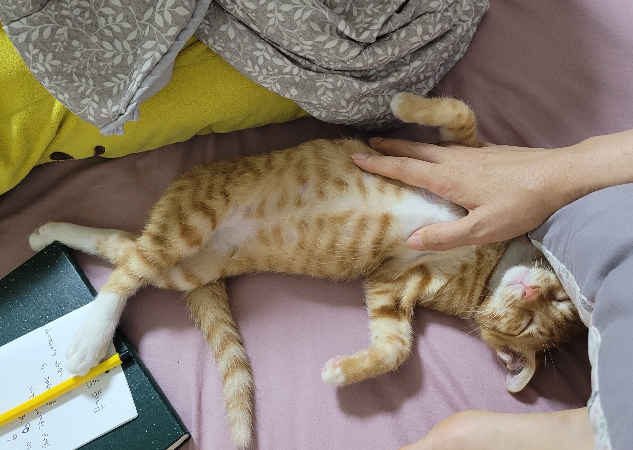 춤추면서 주무시기 ㅋ