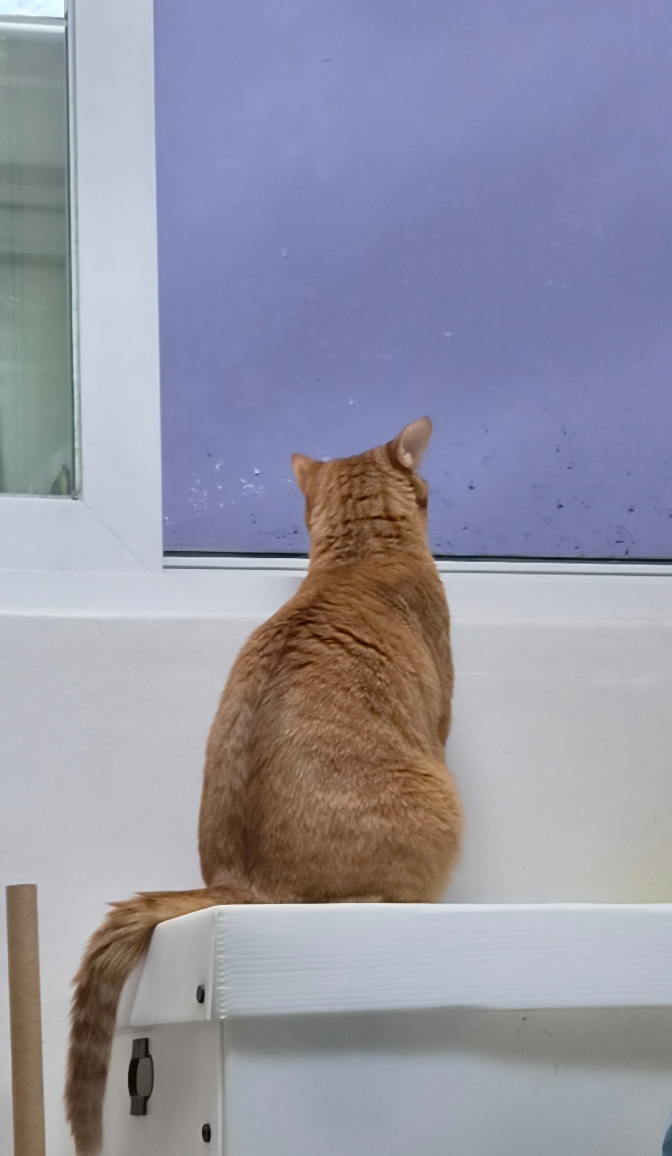 비오는날은 🌧☔️