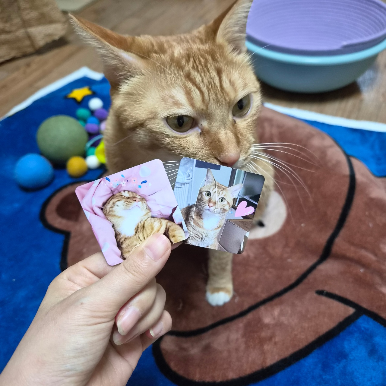 요즘 많이 있는 곳.
