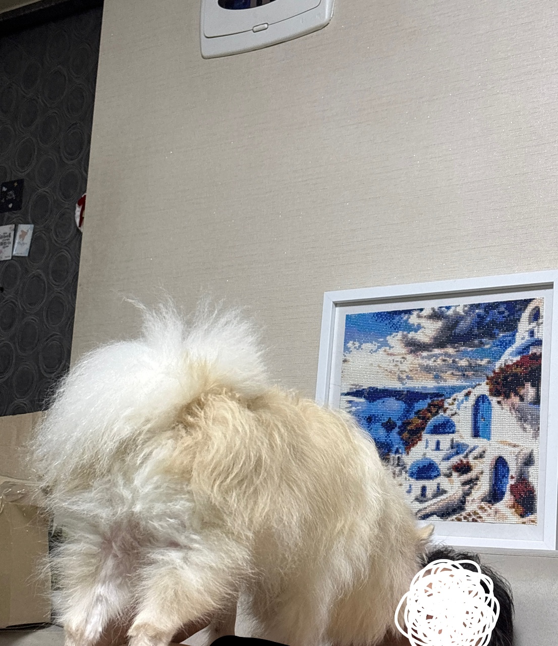 우리 멈머