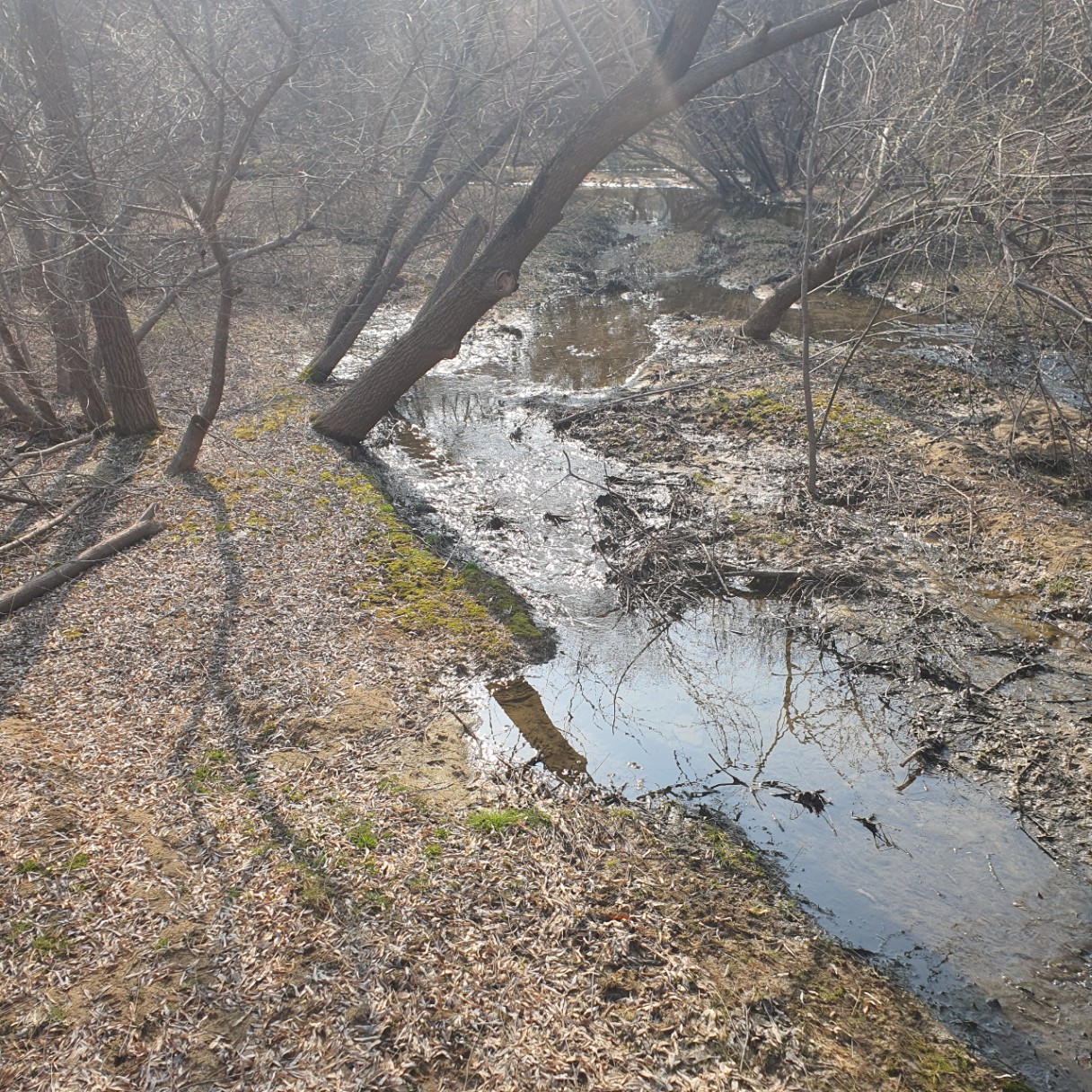 산책으로 제 마음을 요리중입니다