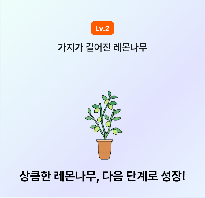 레몬나무 기르는중입니다!