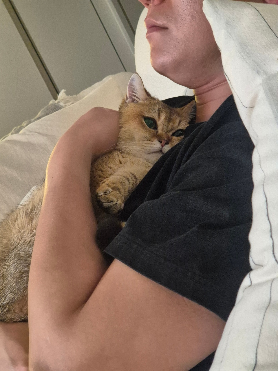 뽀또🐱가 발정기가 왔어요