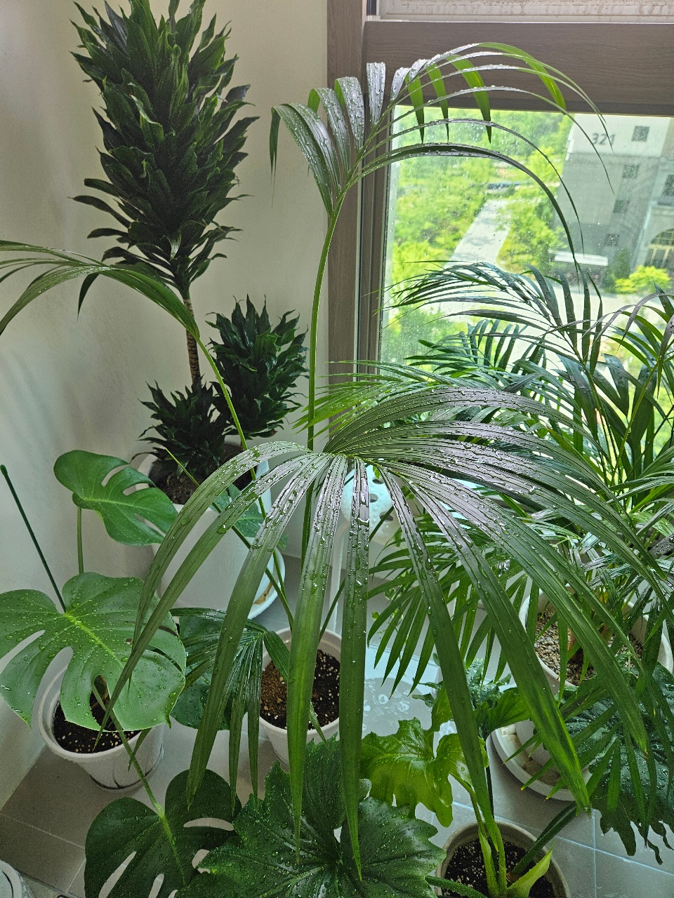 1평 식물원