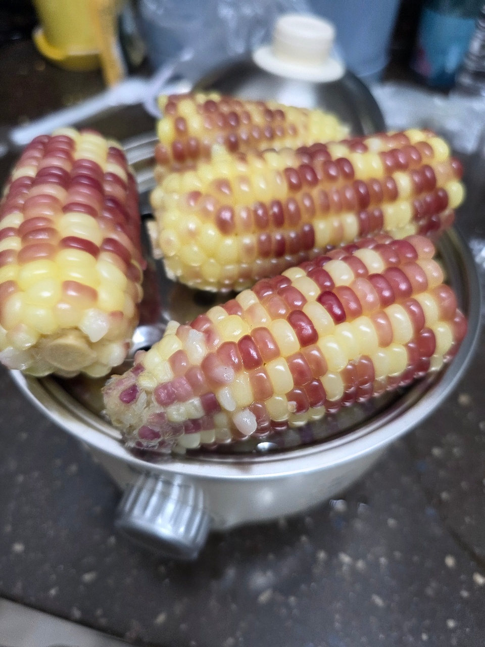 얼린 옥수수쪄먹기