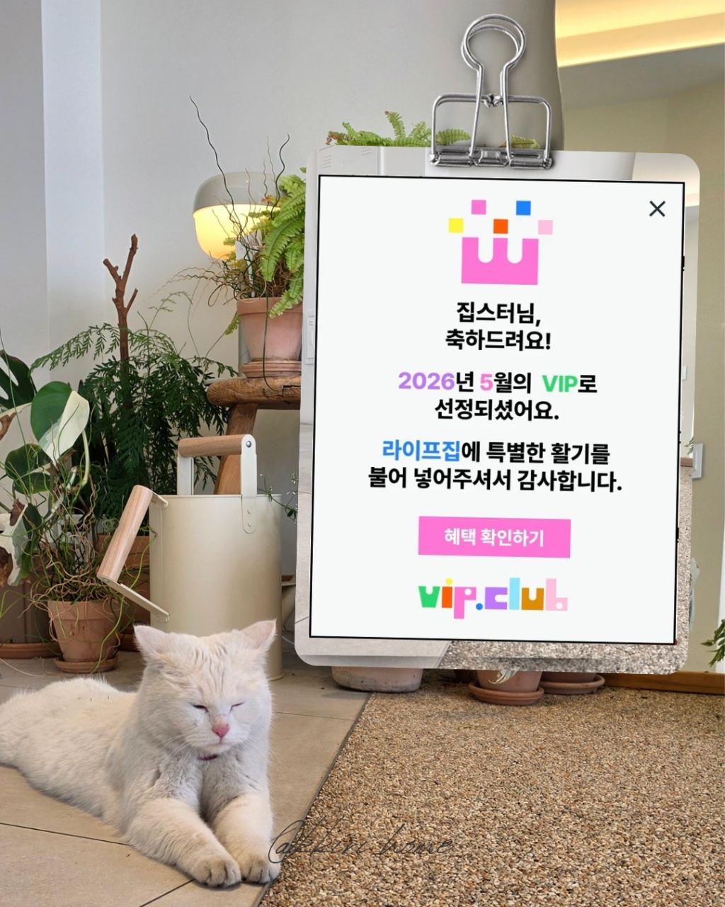 2026년 5월의 VIP로 선정됐어요!