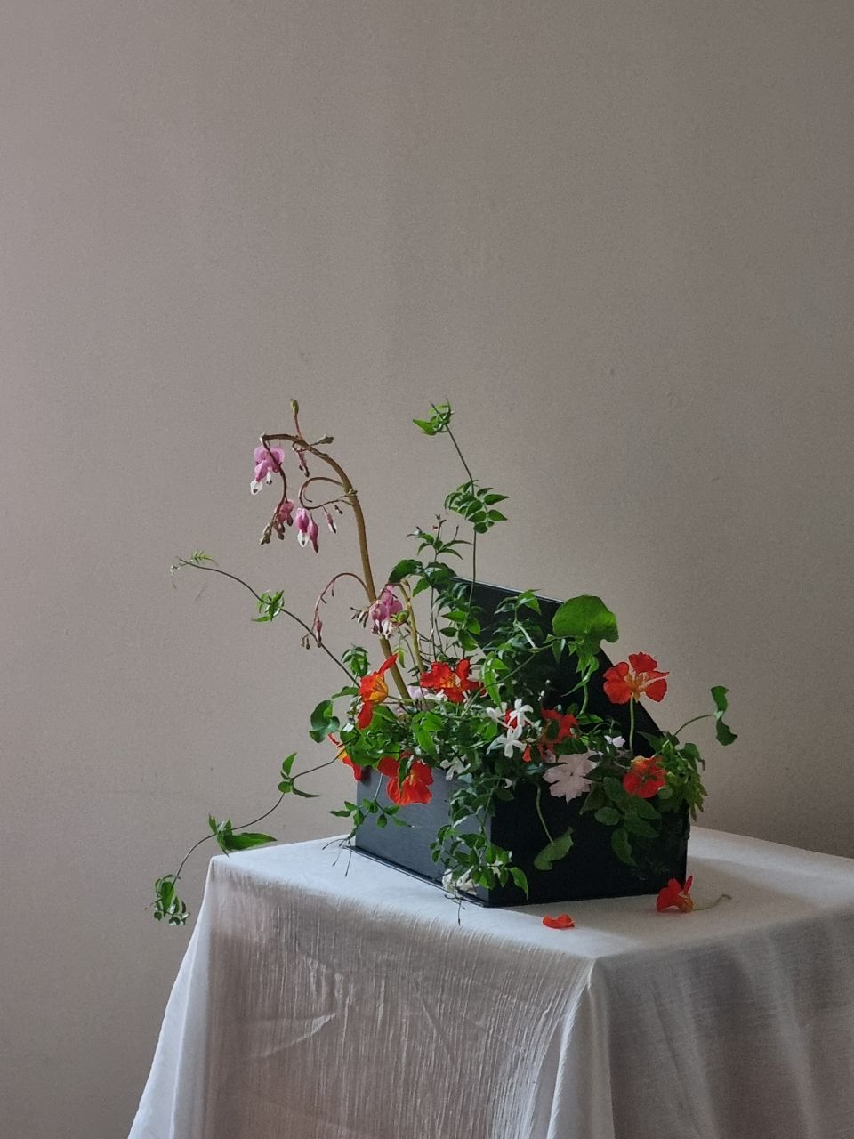 봄이 열렸어요 🌿