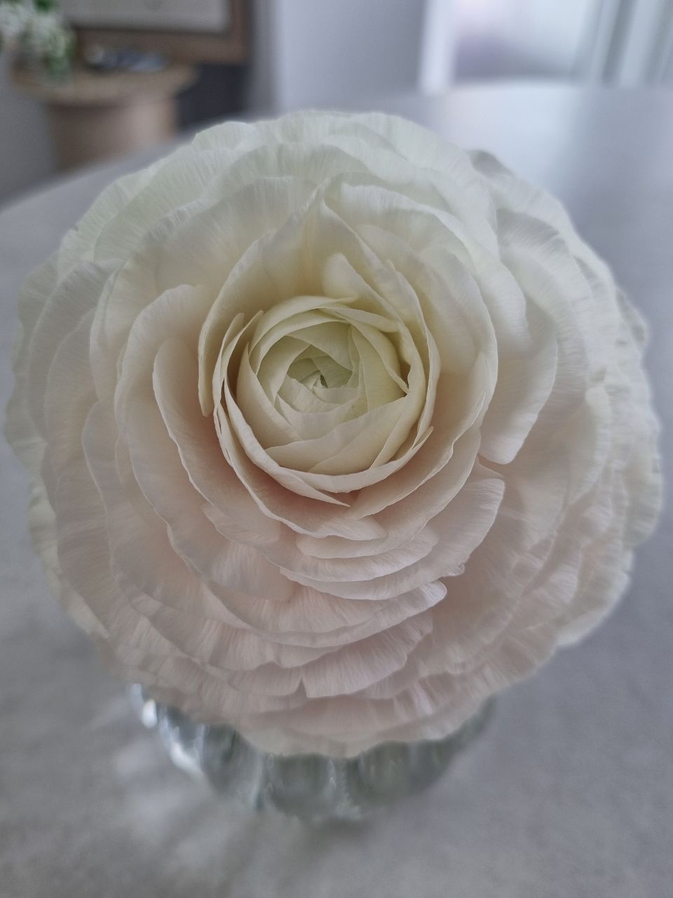 꽃멍 🌸