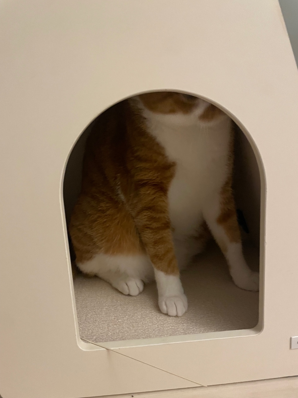 꼭꼭숨어라