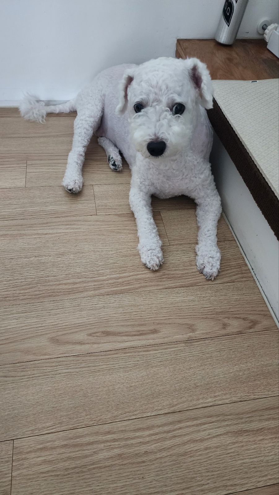 이몽구의 패션