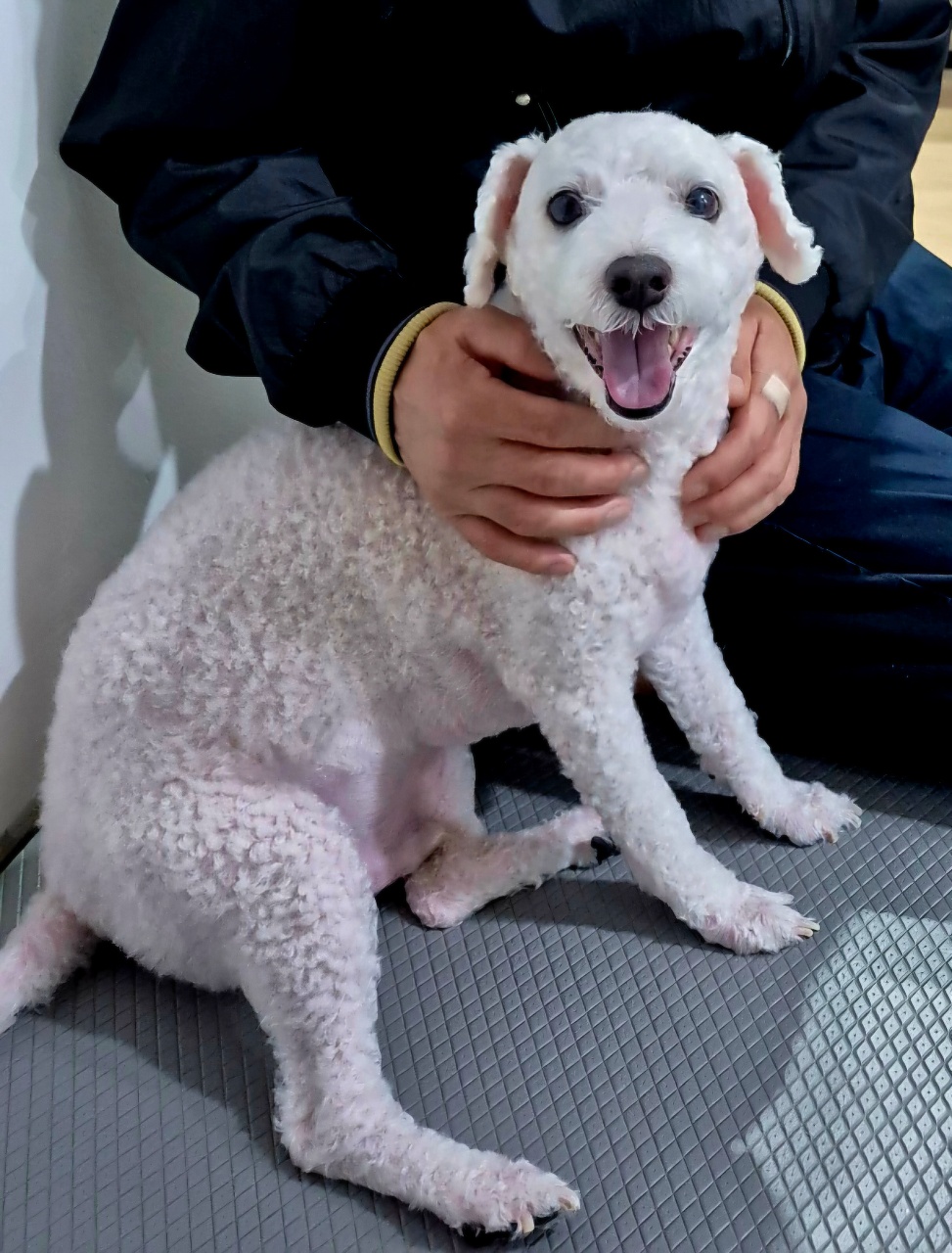 리몽구 행복하다