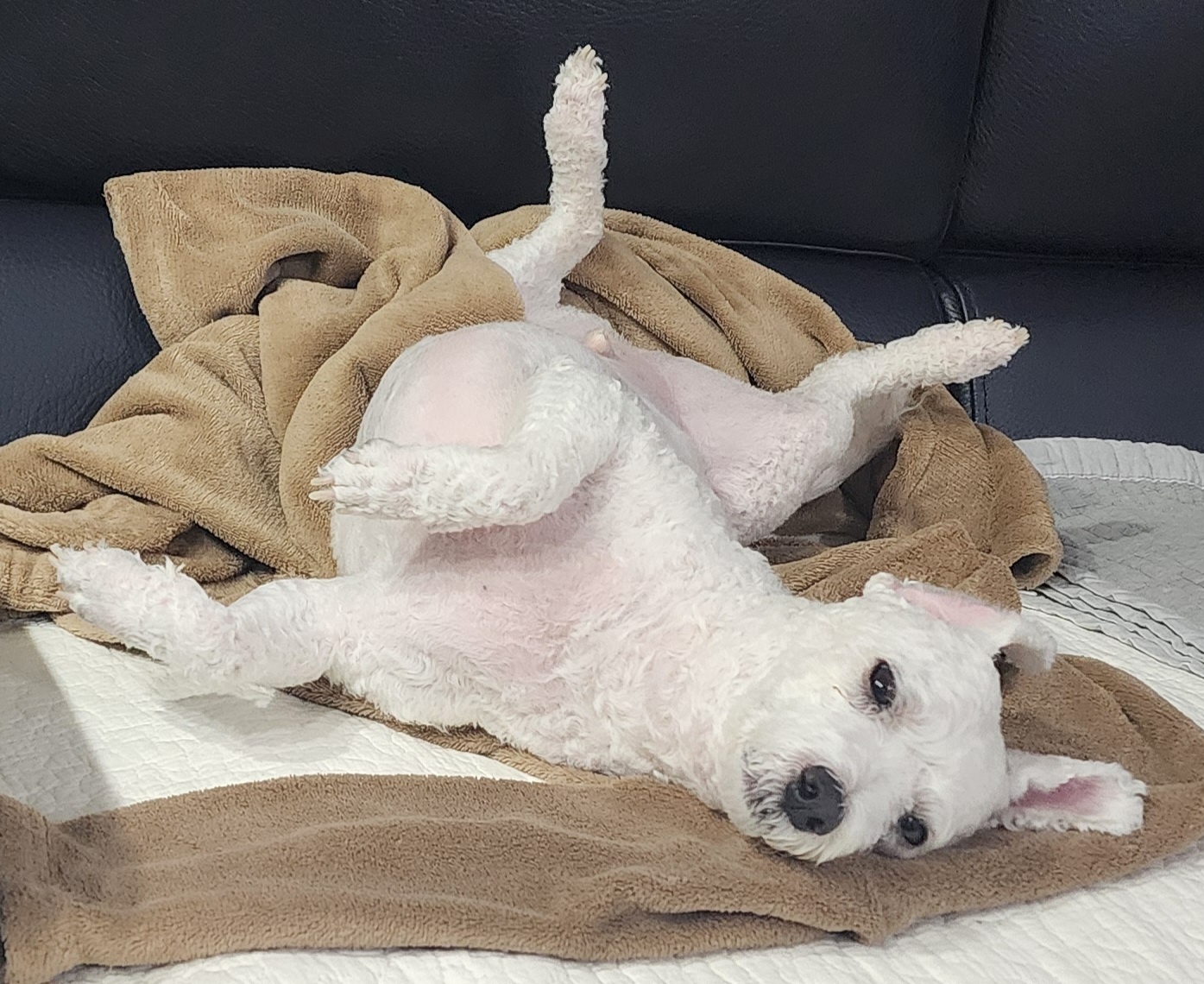 오늘의 리몽구