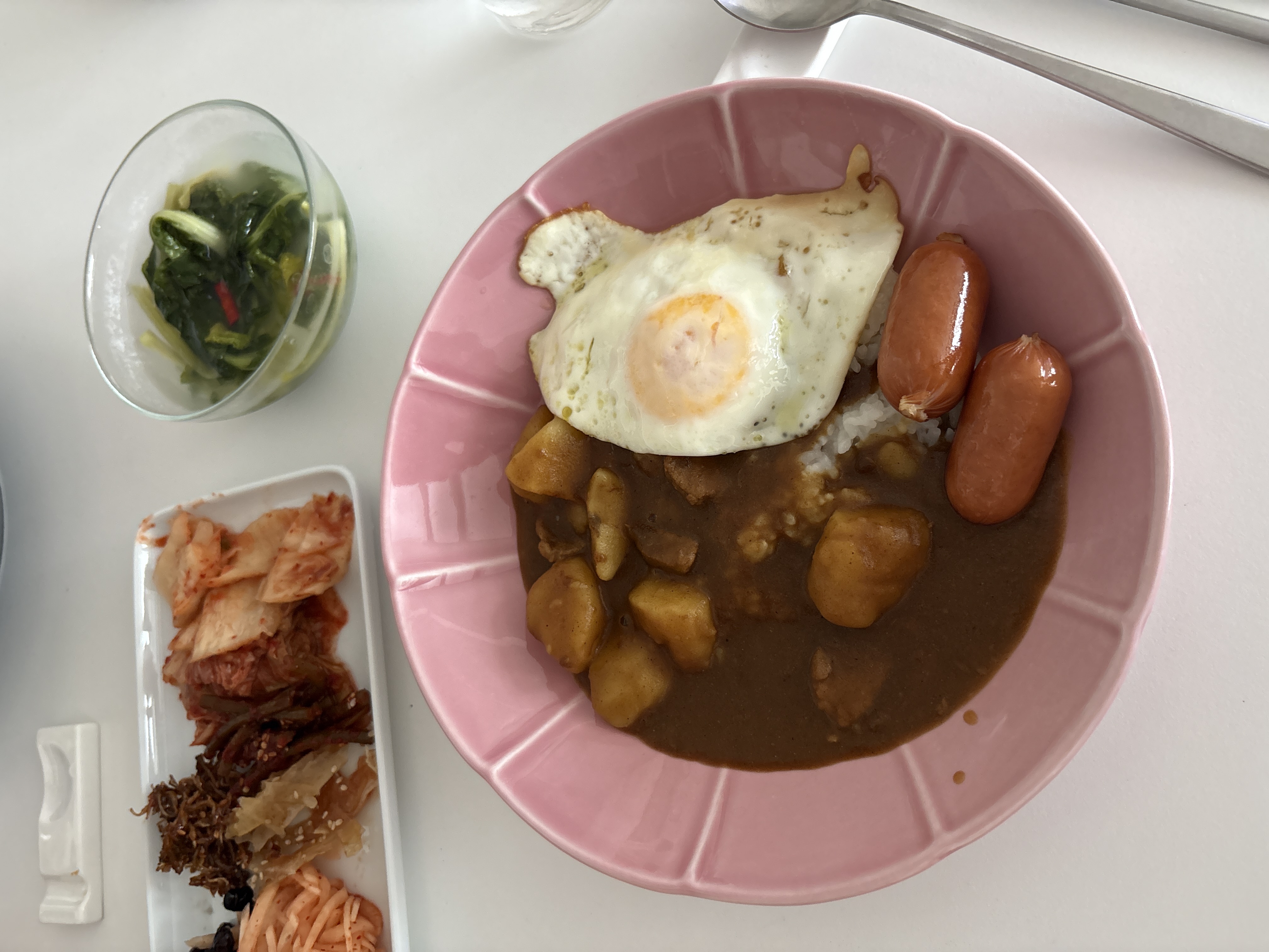 돼지고기 넣은 냉털 카레~ 
