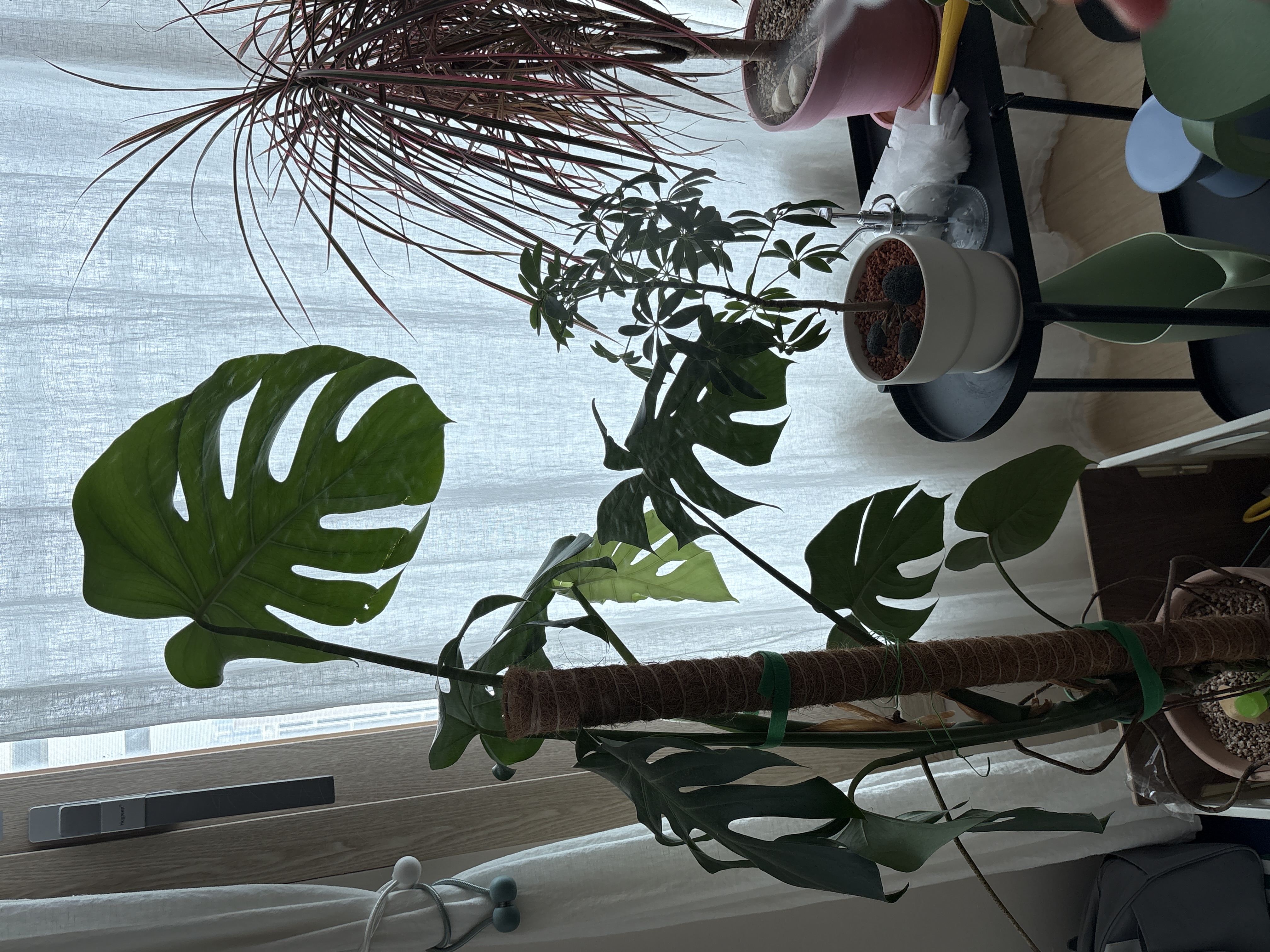 집미션 덕분에..🌿