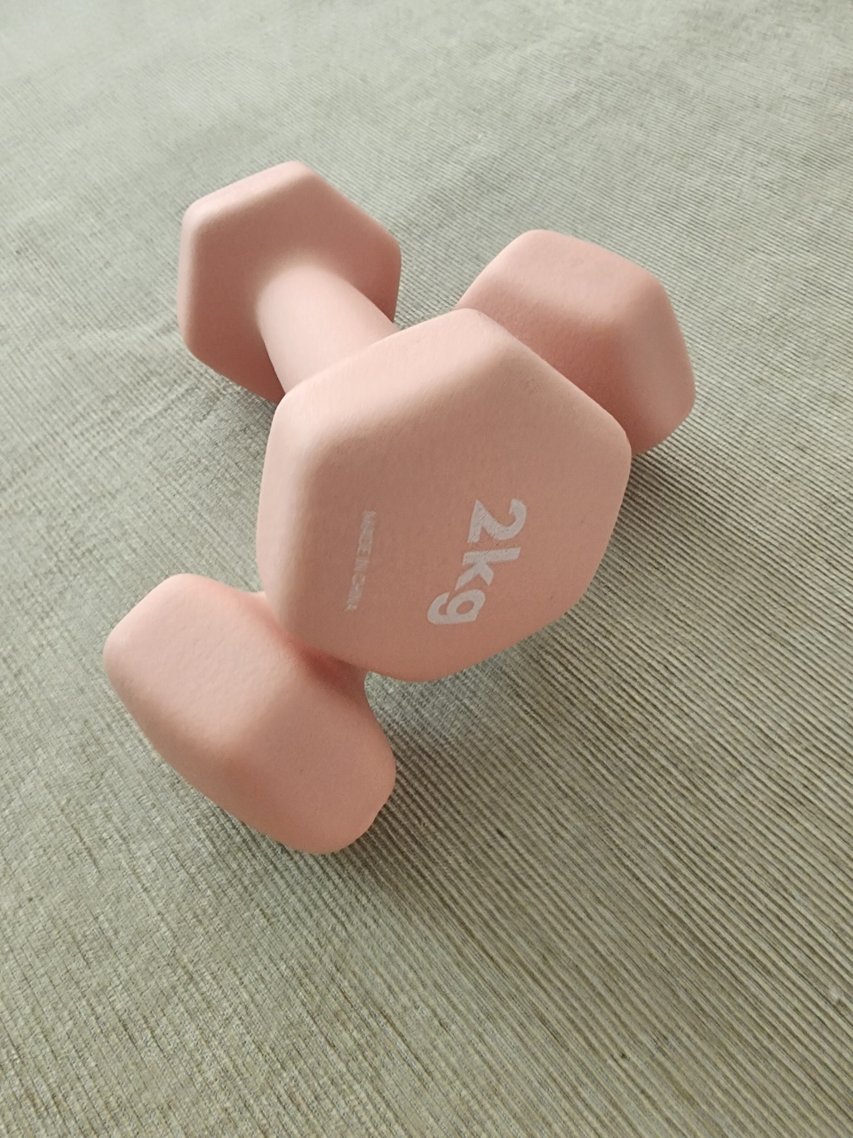 체려관리템💪