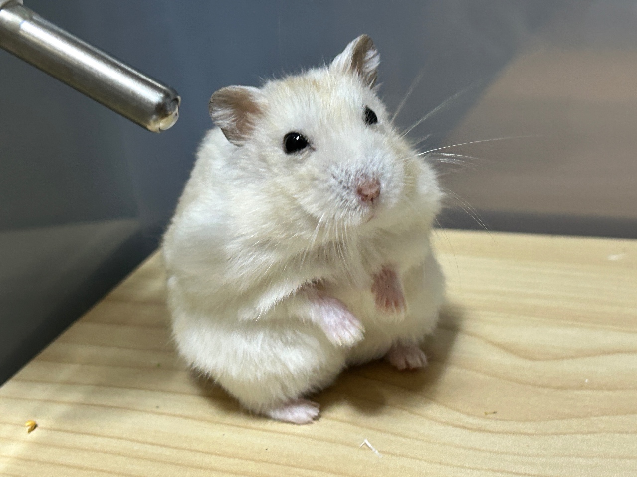 불금 화이팅!